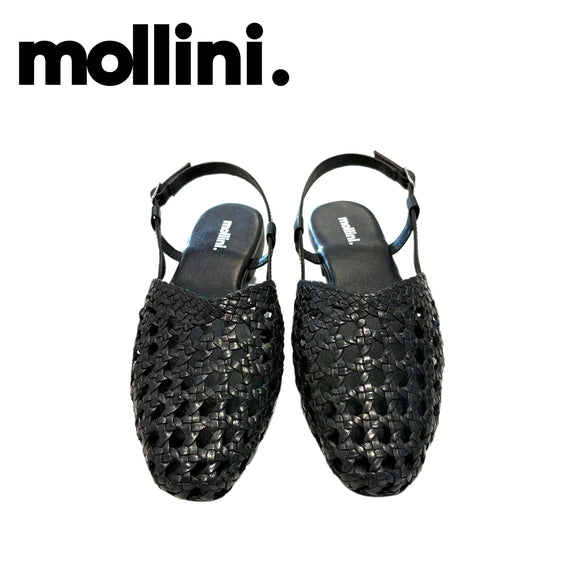 MOLLINI DRASA