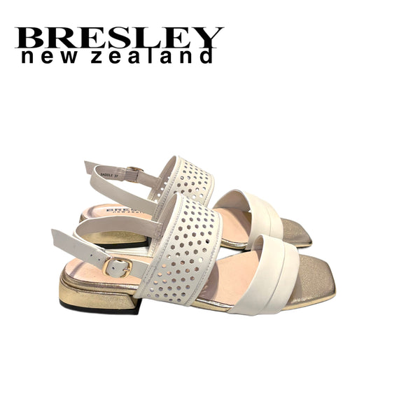 BRESLEY SADDLE