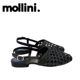 MOLLINI DRASA