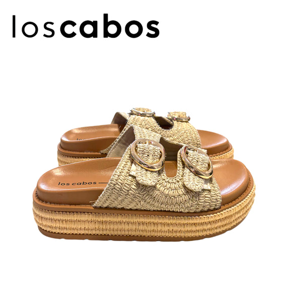 LOS CABOS FERRITO